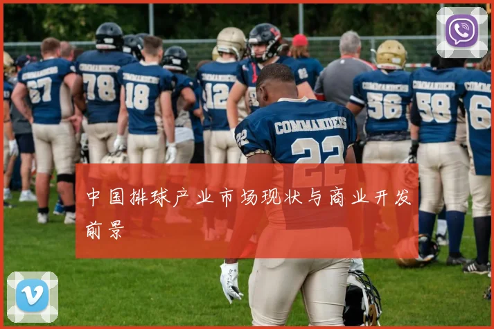 中国排球产业市场现状与商业开发前景
