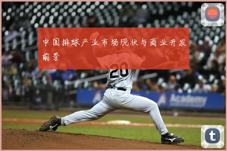 中国排球产业市场现状与商业开发前景