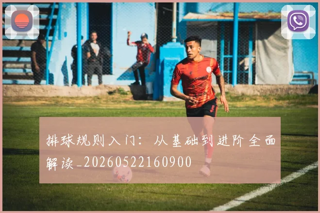 排球规则入门:从基础到进阶全面解读_20260522160900