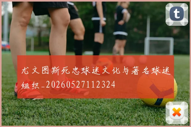 尤文图斯死忠球迷文化与著名球迷组织_20260527112324
