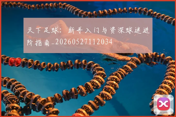 天下足球:新手入门与资深球迷进阶指南_20260527112034