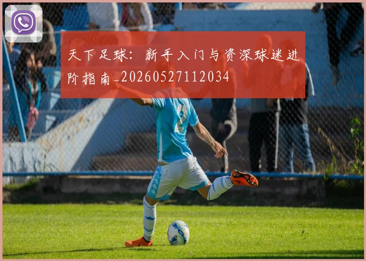 天下足球:新手入门与资深球迷进阶指南_20260527112034