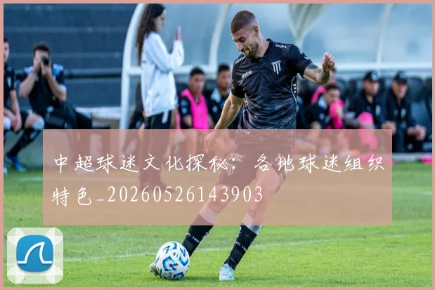 中超球迷文化探秘:各地球迷组织特色_20260526143903